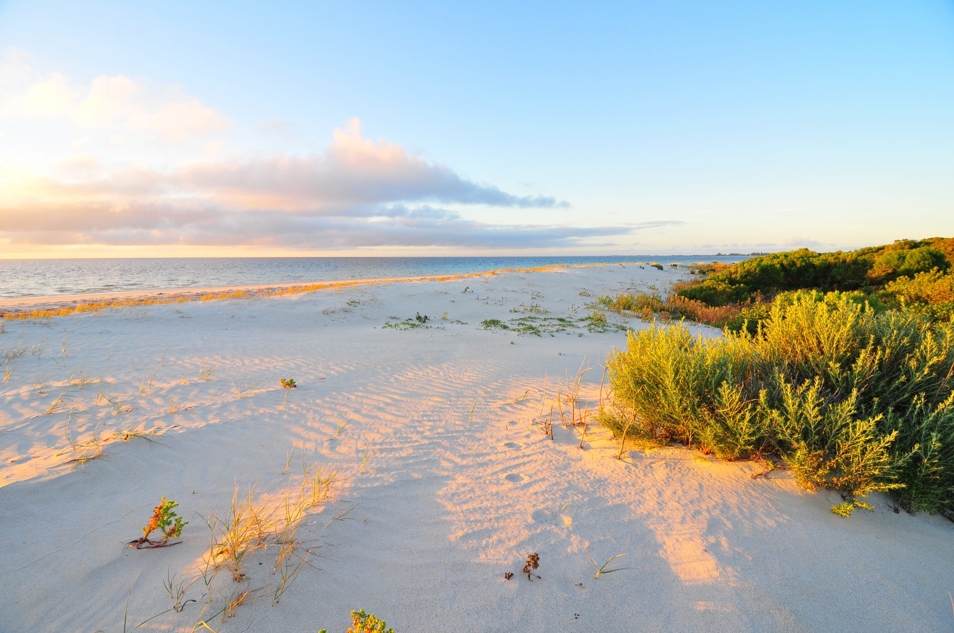 Contact Us Elders Real Estate Kingston