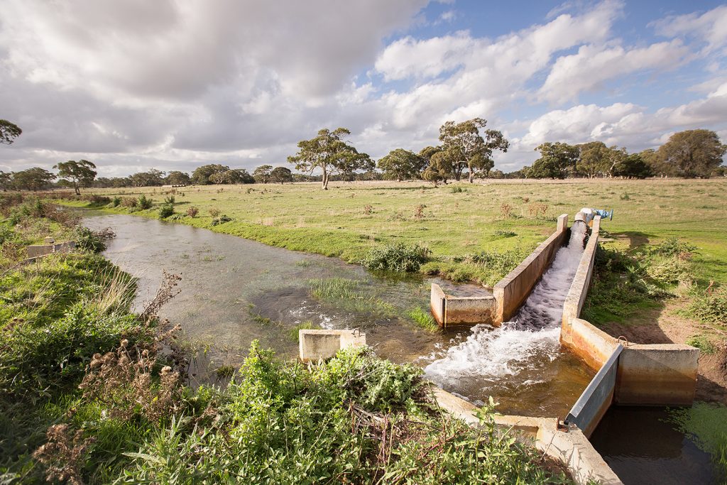 Woodgera – 24244 Princes Highway, Greenways property